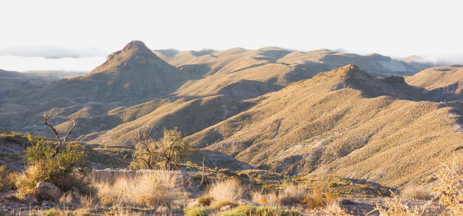 Cortijo El Albaricoque De La Sierra - Finca De 75 Hectareas ! Níjar Exterior foto